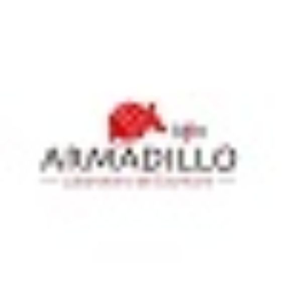 Armadillo: Programa de alfabetización académica y profesional.